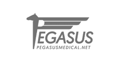 Pegasus